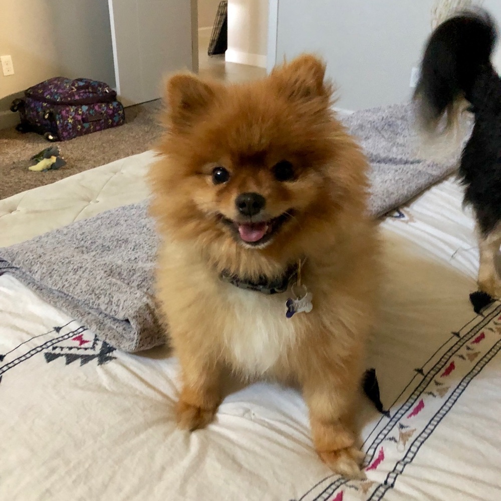 Meet your Posher, Yvette